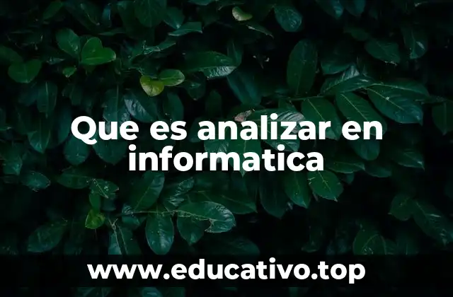 Que es analizar en informatica
