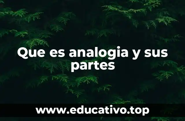 Que es analogia y sus partes