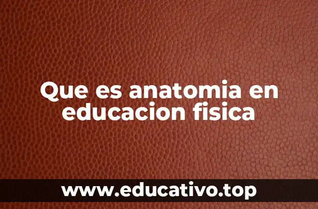 Que es anatomia en educacion fisica