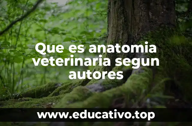 Que es anatomia veterinaria segun autores