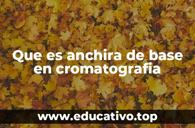 Que es anchira de base en cromatografia