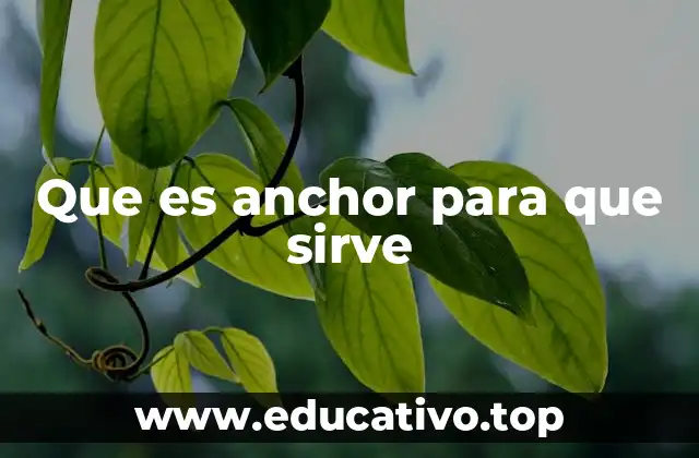 Que es anchor para que sirve