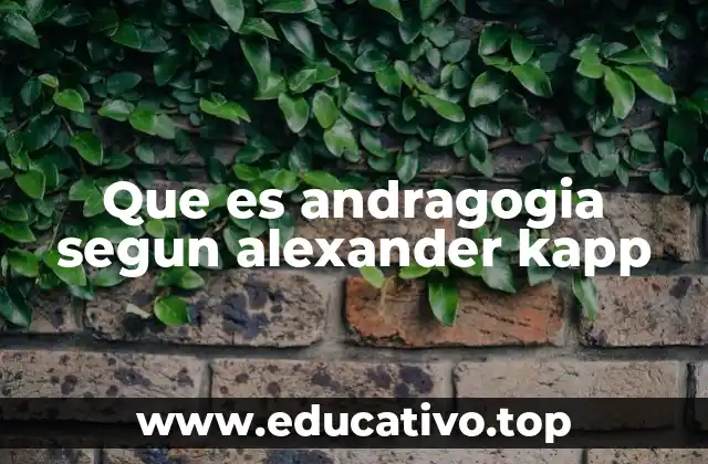 Que es andragogia segun alexander kapp