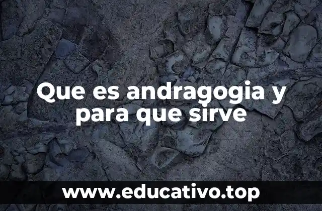 Cómo se diferencia la andragogia de otros enfoques educativos