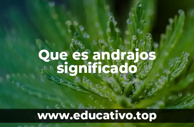 Que es andrajos significado
