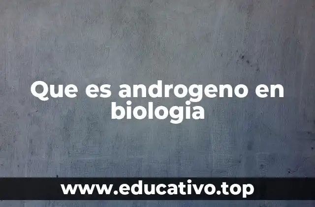 Que es androgeno en biologia
