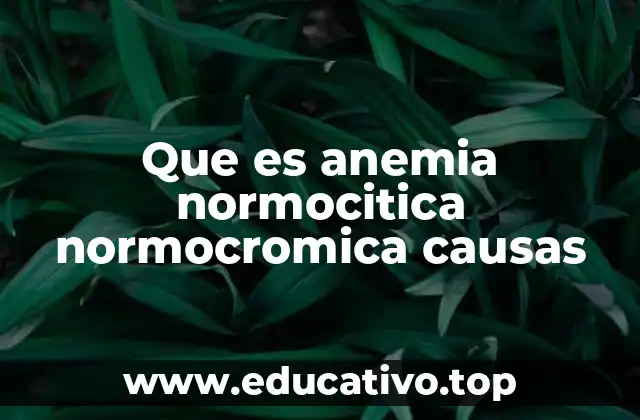 Que es anemia normocitica normocromica causas