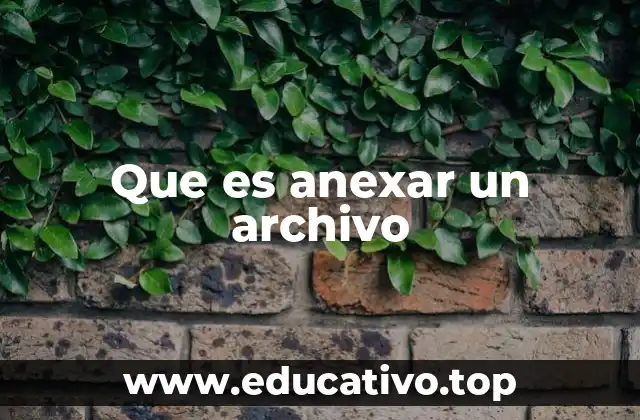 Que es anexar un archivo
