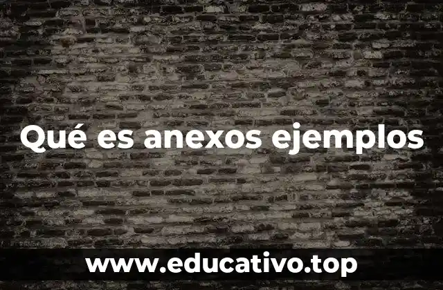 Qué es anexos ejemplos