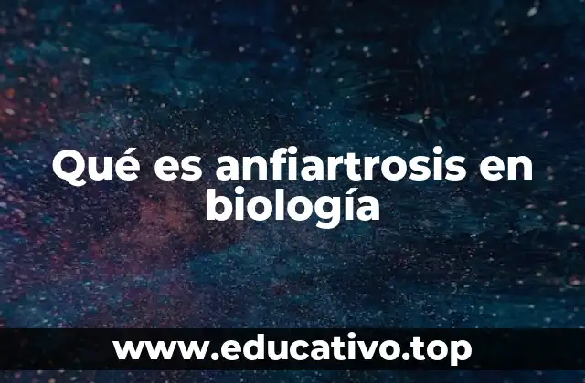 Qué es anfiartrosis en biología
