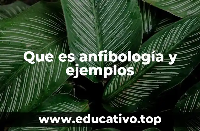Que es anfibología y ejemplos