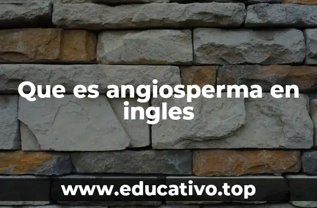 Que es angiosperma en ingles