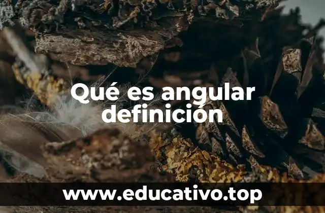 Qué es angular definición