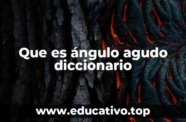 Que es ángulo agudo diccionario