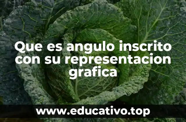 Que es angulo inscrito con su representacion grafica
