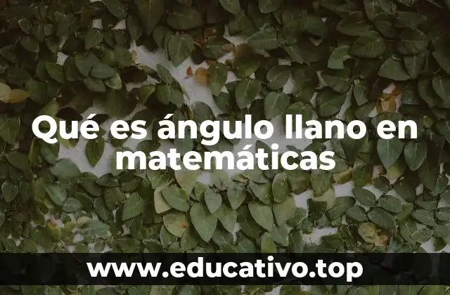 Qué es ángulo llano en matemáticas