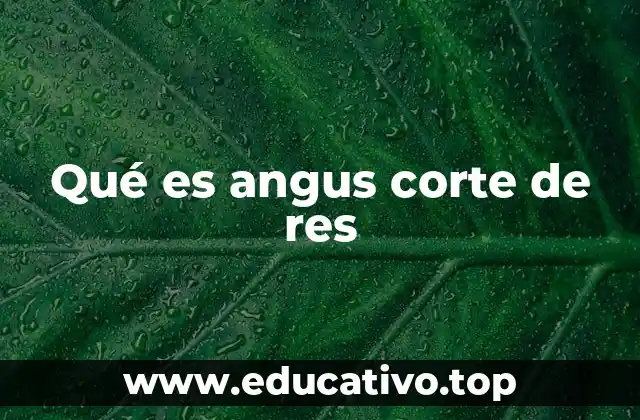 Qué es angus corte de res