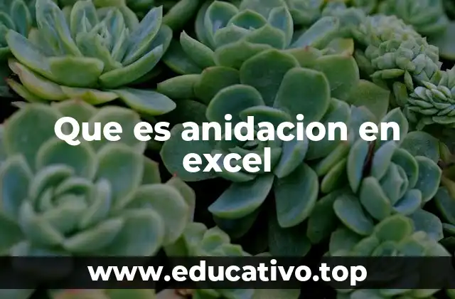 Que es anidacion en excel