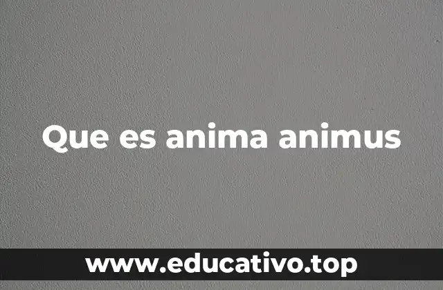Que es anima animus