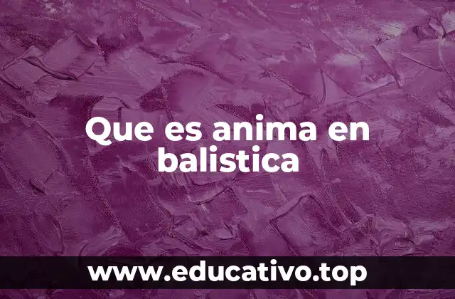 Que es anima en balistica