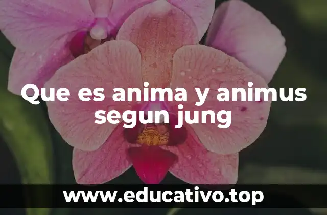 Que es anima y animus segun jung