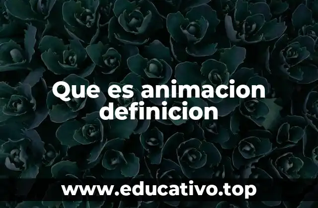 Que es animacion definicion