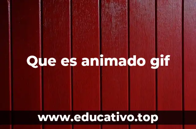 Que es animado gif