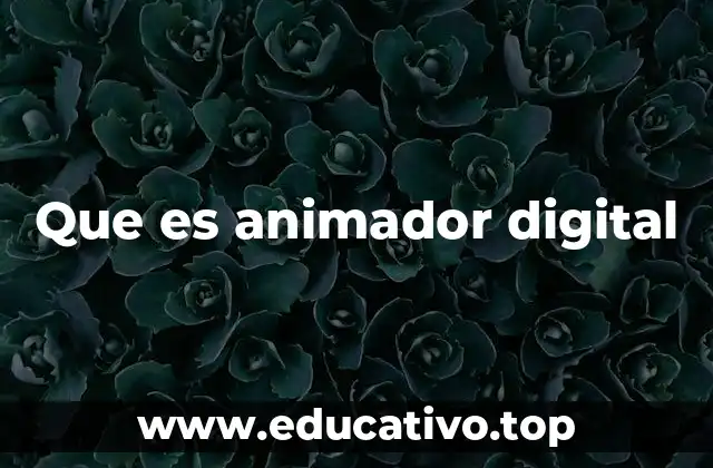 Que es animador digital