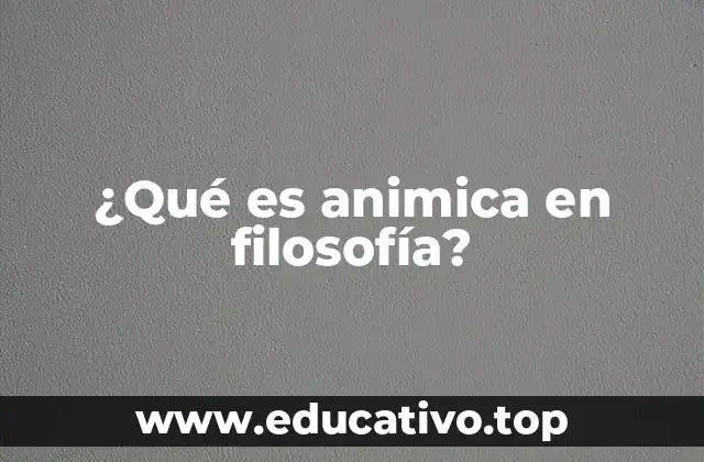 ¿Qué es animica en filosofía?