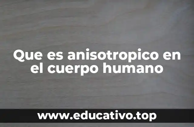 Que es anisotropico en el cuerpo humano