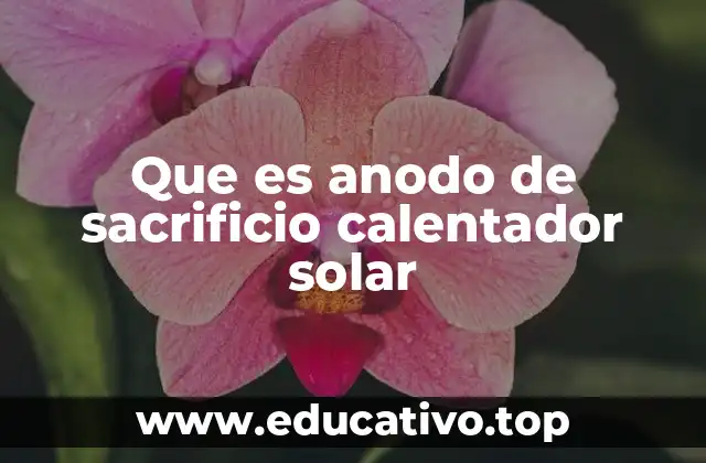 Que es anodo de sacrificio calentador solar