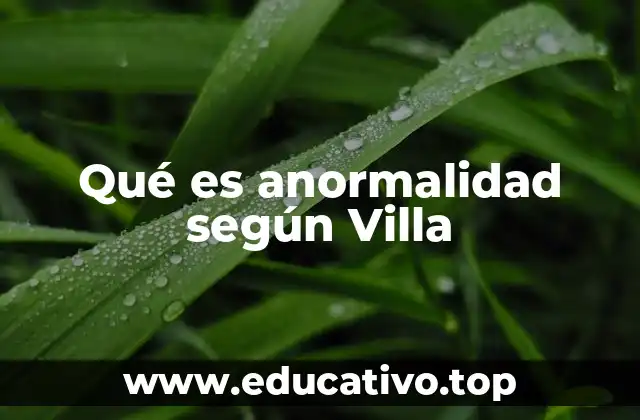 Qué es anormalidad según Villa