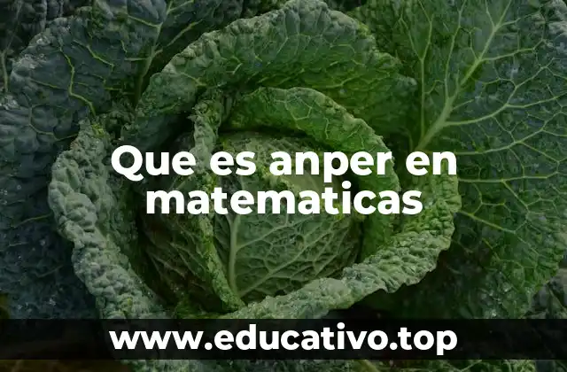 Que es anper en matematicas