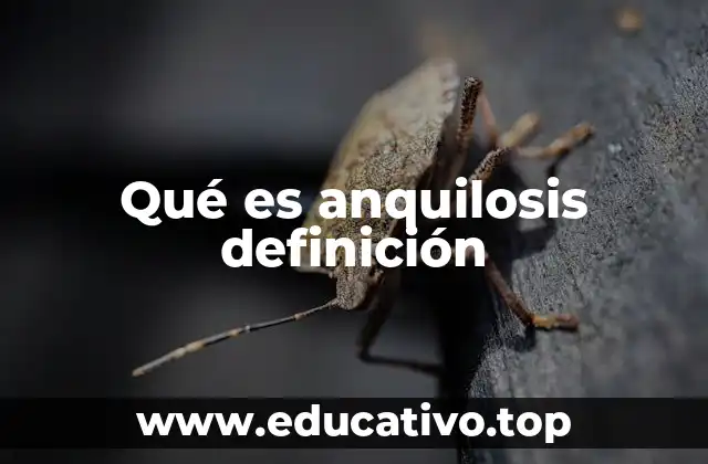 Qué es anquilosis definición