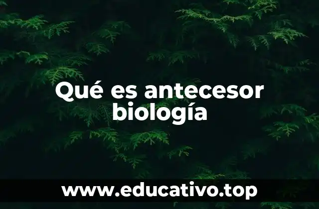 Qué es antecesor biología