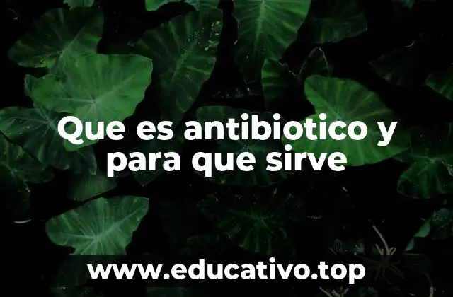Que es antibiotico y para que sirve