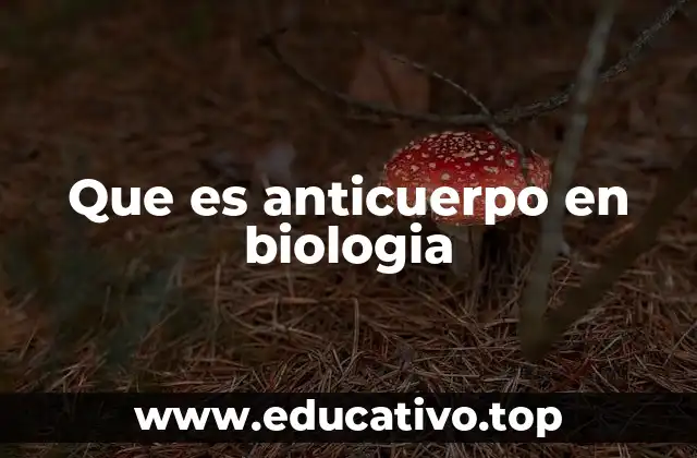 Que es anticuerpo en biologia
