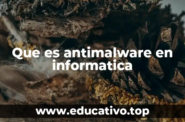 Que es antimalware en informatica
