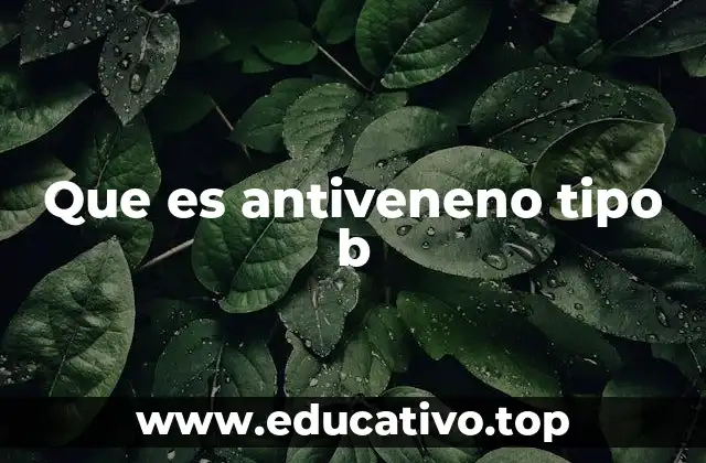 Que es antiveneno tipo b