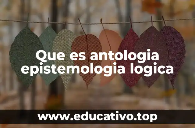Que es antologia epistemologia logica