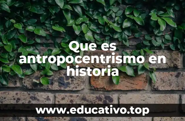 Que es antropocentrismo en historia