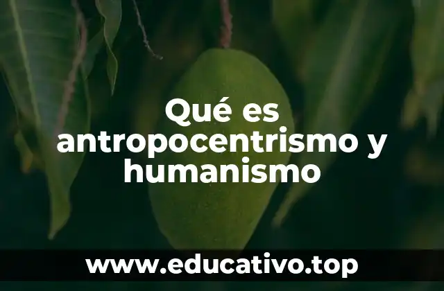 Qué es antropocentrismo y humanismo