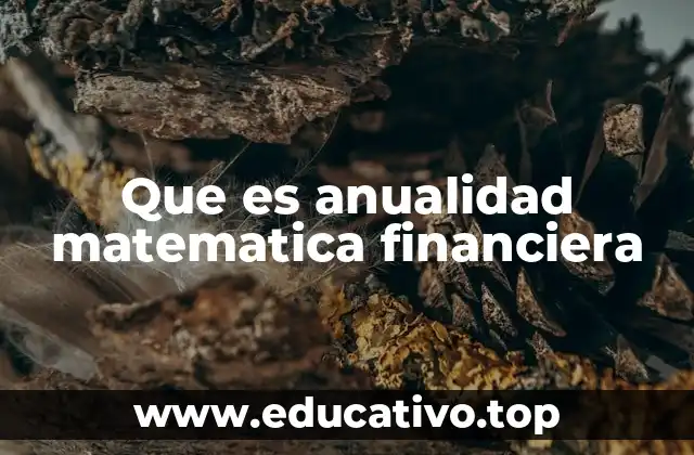 Que es anualidad matematica financiera