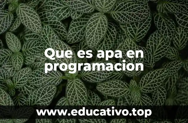 El uso del acrónimo APA en el desarrollo de software