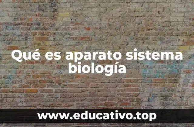 Qué es aparato sistema biología