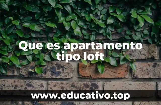 Que es apartamento tipo loft