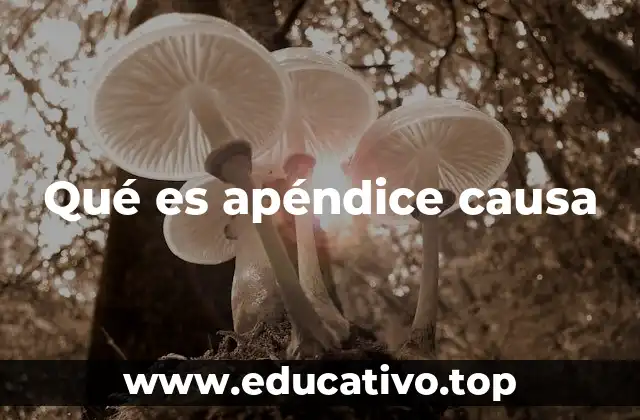 Qué es apéndice causa