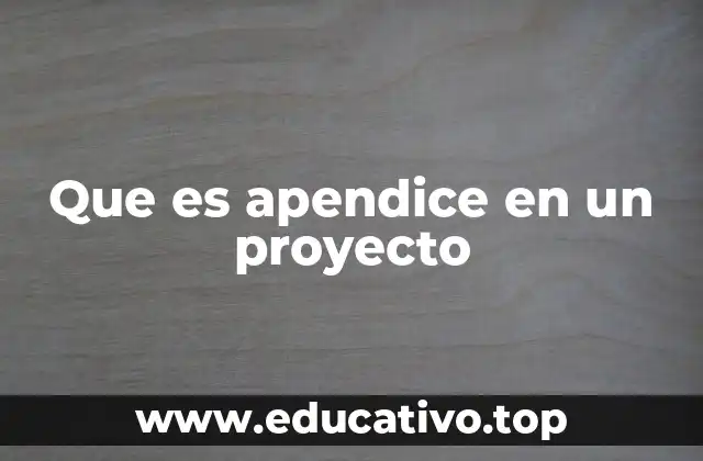 Que es apendice en un proyecto