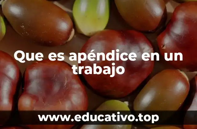 Que es apéndice en un trabajo