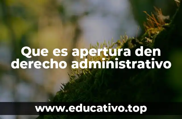 Que es apertura den derecho administrativo